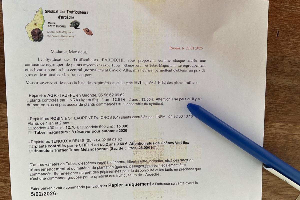 Lancement des commandes groupées